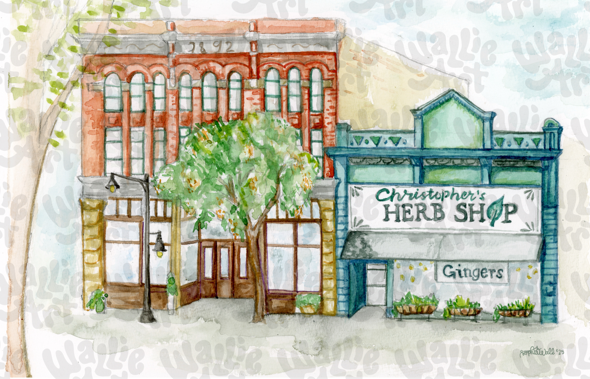 Old Downtown Springville 3-story red brick storefront with a tree and black lampost in front. Next to the red brick store, there is a blue & green herb shop with lots of colorful floral plants in front