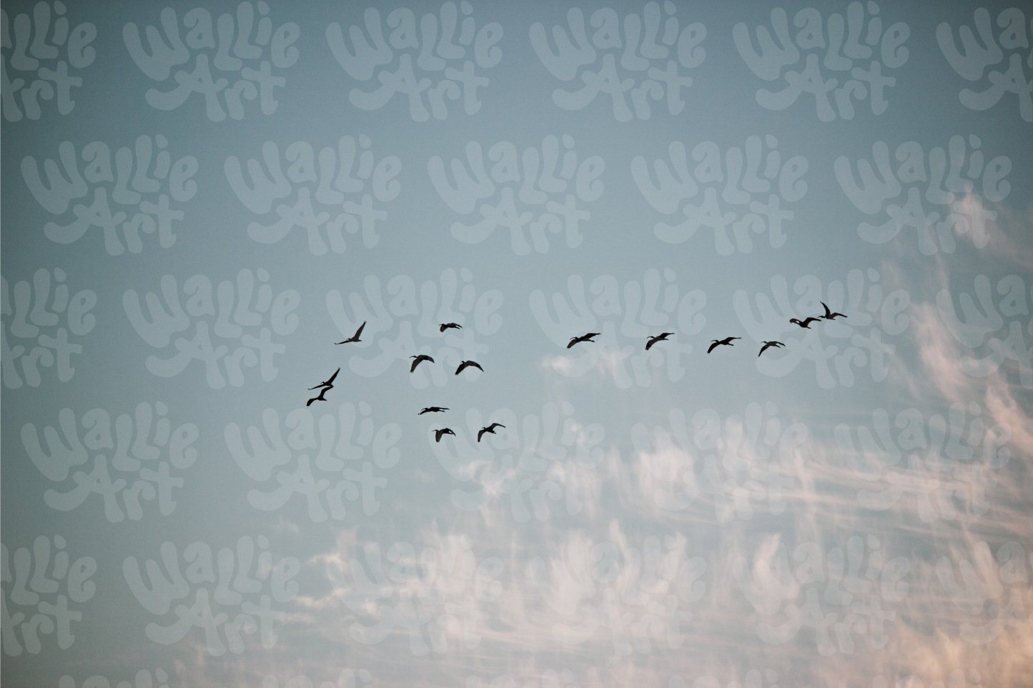 The Migrating Birds | Stock Photo Digital Download | Personal & Limited Commercial License