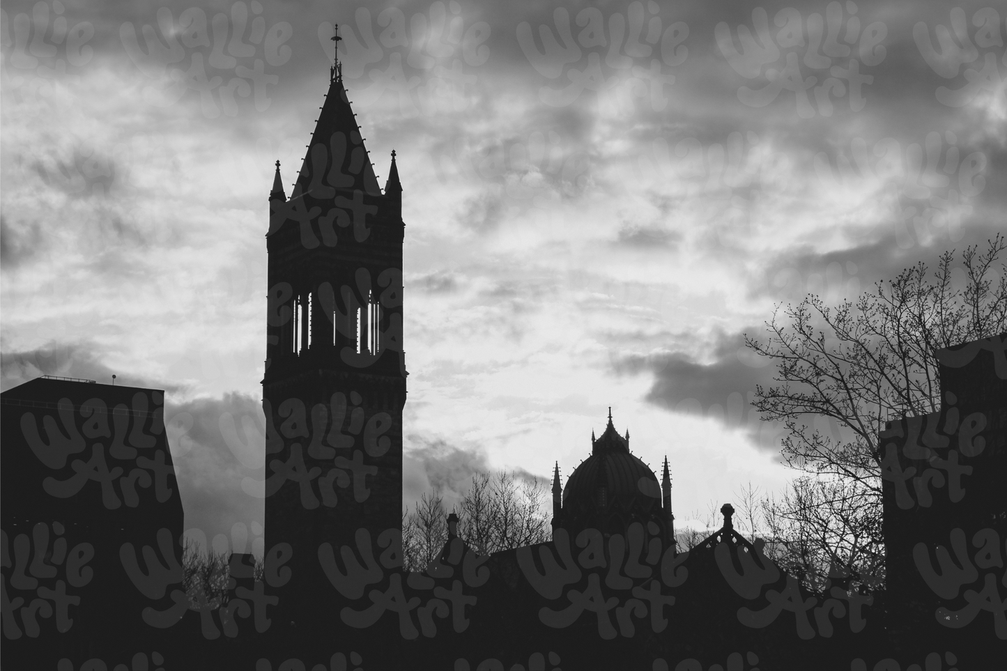 Bell Tower Church Skyline | Stock Photo Digital Download | Personal & Limited Commercial License