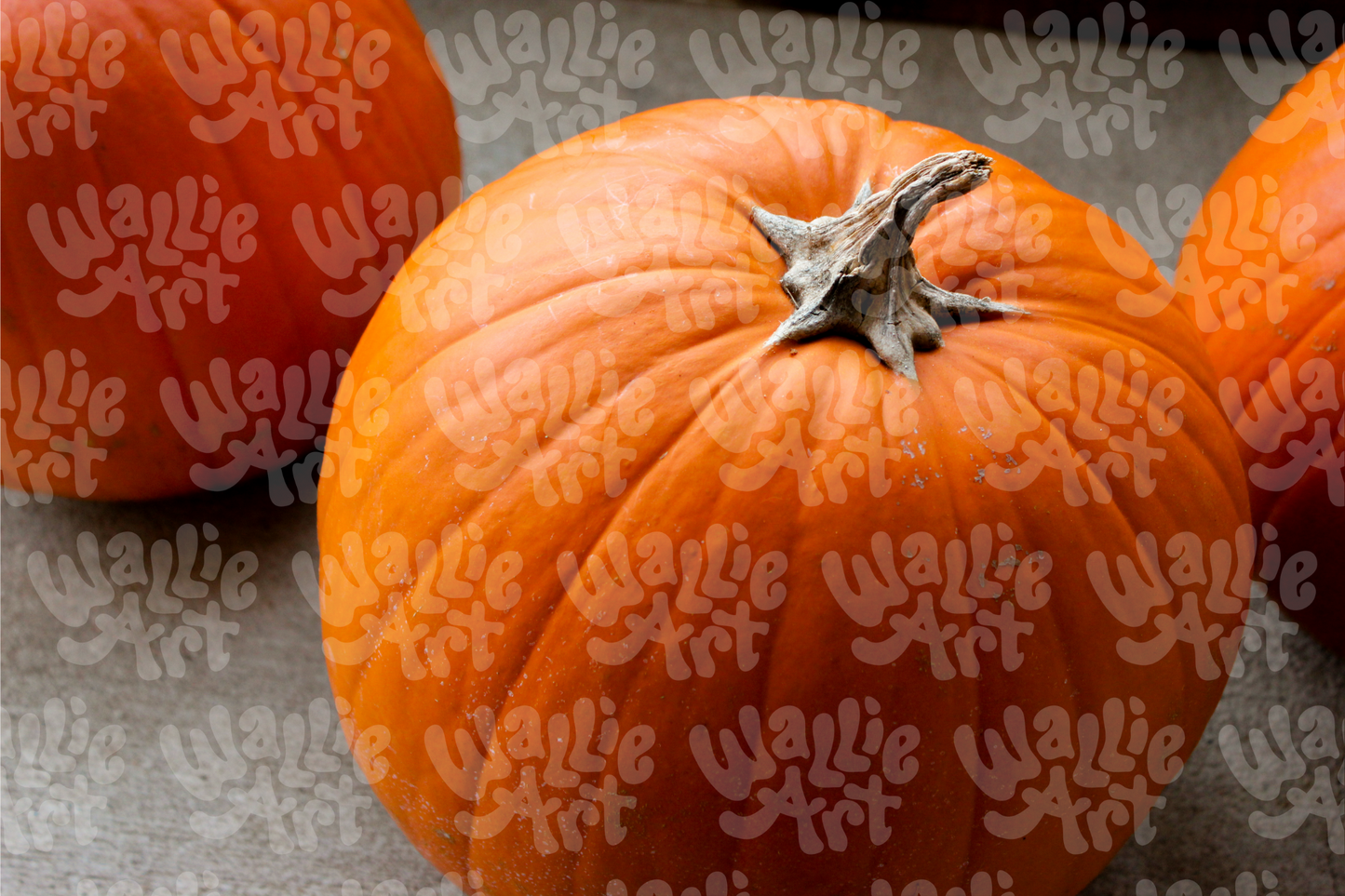 Fall Pumpkin Trio | Stock Photo Digital Download | Personal & Limited Commercial License