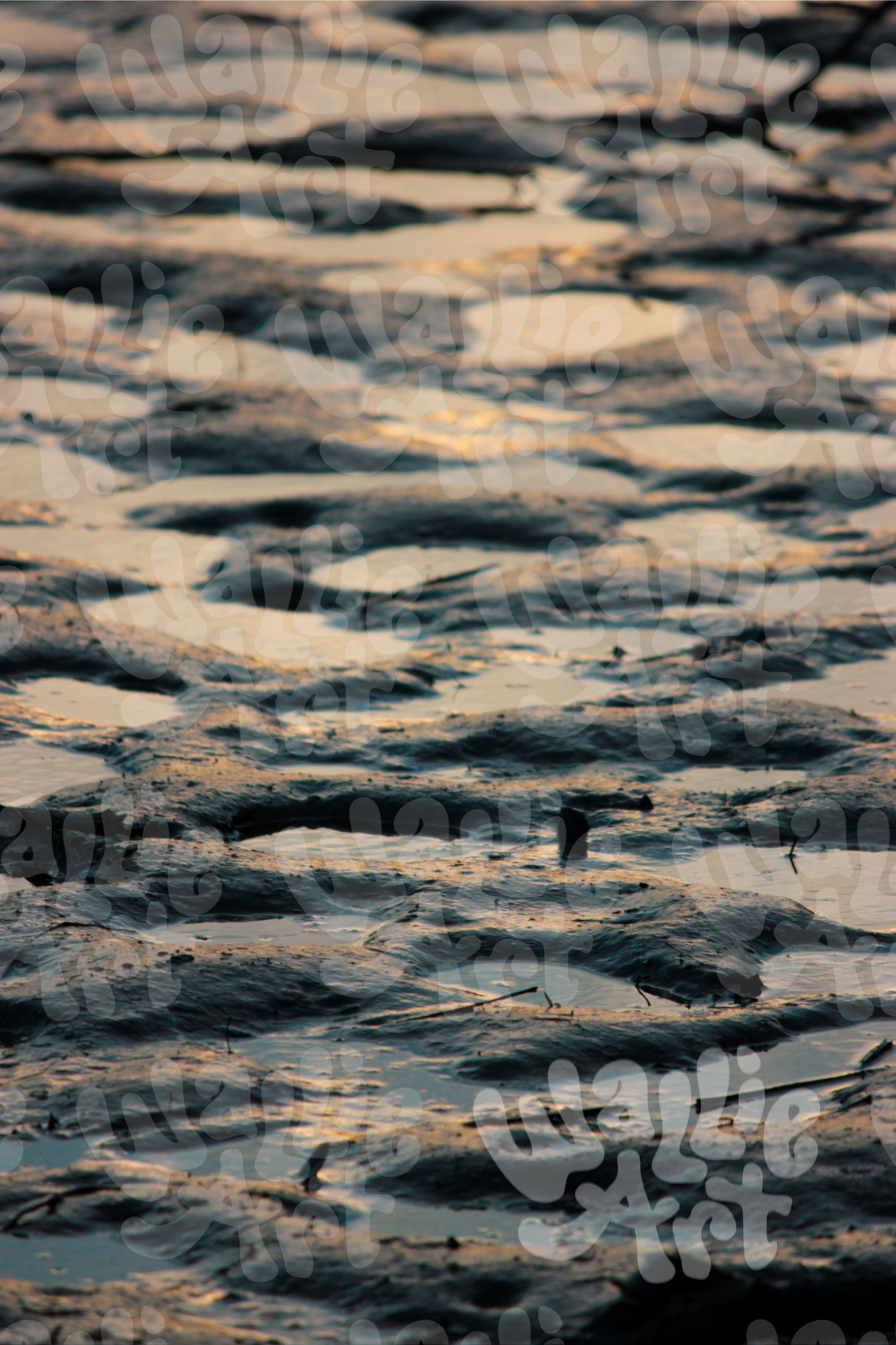 Deep Puddles | Texas | Stock Photo Digital Download | Personal & Limited Commercial License