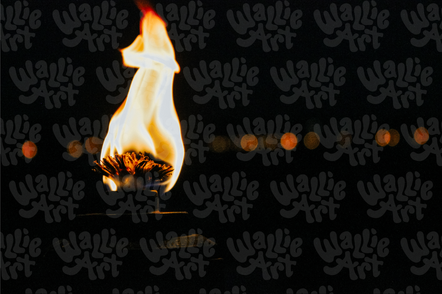 Summer Torch At Night | Stock Photo Digital Download | Personal & Limited Commercial License